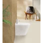 Биде напольное BELBAGNO FLAY-R, Биде напольное, с крепежом