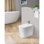 Биде напольное BELBAGNO ALBANO, Биде напольное
